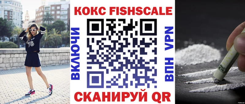 где купить наркотик ОМГ ОМГ ONION Кокаин FishScale Снежногорск