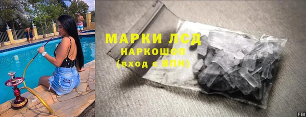 сатива Аркадак